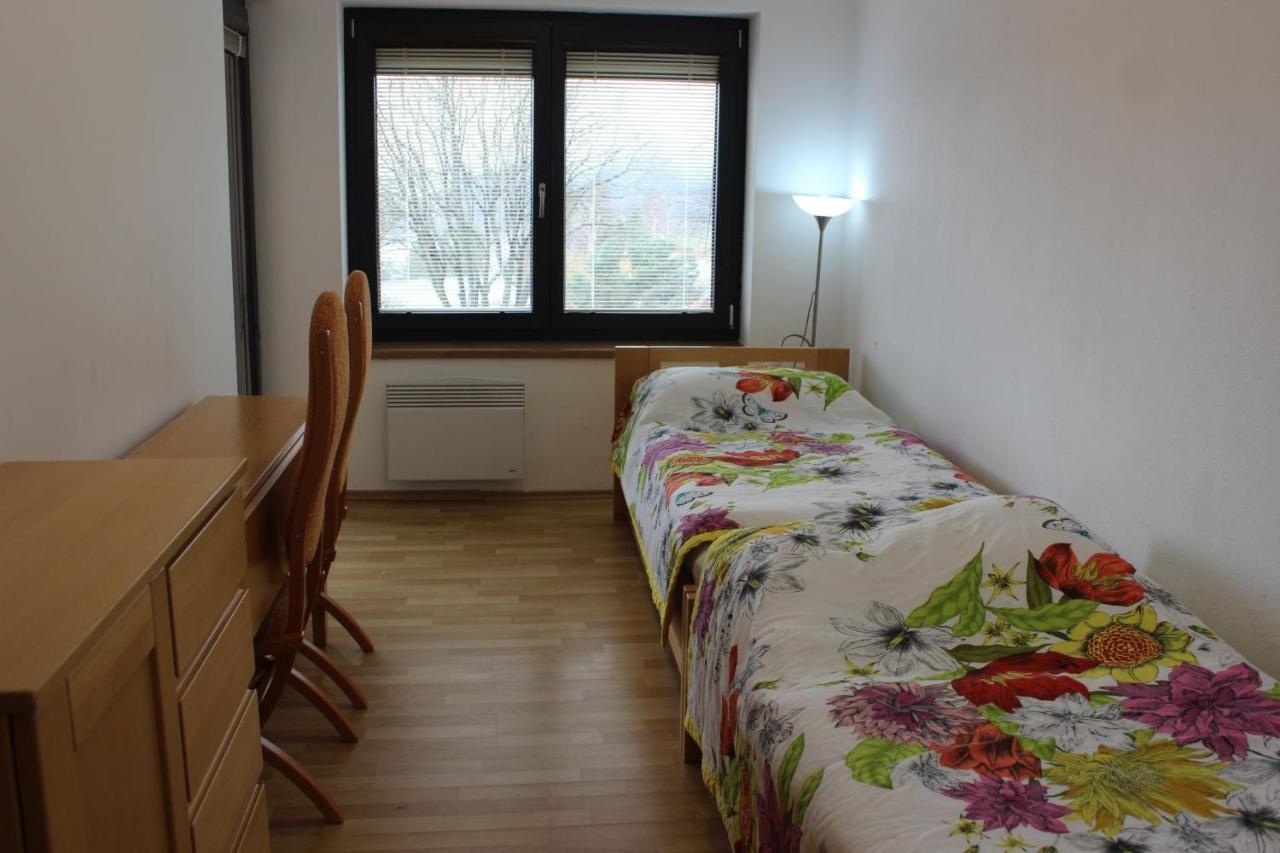 Apartman Lipanek ليبنو ناد فلتافو المظهر الخارجي الصورة